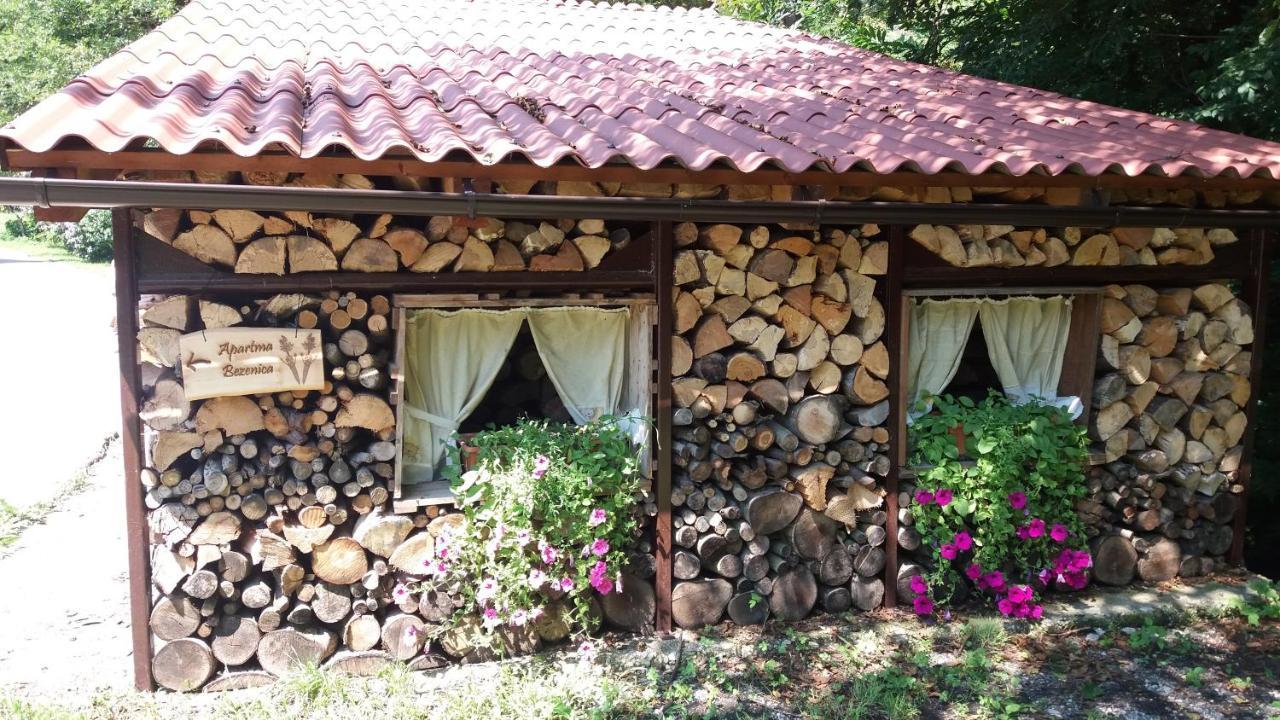 Appartment Bezenica Dobrova المظهر الخارجي الصورة